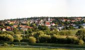 Tour Zu Fuß Siegendorf - Puszta-Tour (Vital-Parcours Siegendorf) - Photo 2