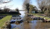 Trail Walking Arleux - Les marais d'Arleux - Photo 1