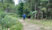 Tour Wandern Weismes - Prak beer brune - Photo 9