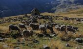 Tocht Stappen Saint-Dalmas-le-Selvage - Cime de Pal par Gialorgues - Photo 13