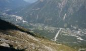 Randonnée Marche Chamonix-Mont-Blanc - La Gare des Glaciers - Plan de l'Aiguille - Photo 6