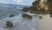 Trail Nordic walking Sainte-Anne - Fond grand ma  modette le littoral  - Photo 4