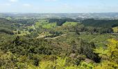 Tour Zu Fuß Rodney - Te Araroa - 02 Auckland - c Govan Wilson Road to Puhoi Valley - Photo 5