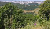 Tocht Stappen Montfaucon - Montfaucon : son château, ses forts - Photo 19