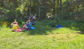 Trail Walking Aydat - 2025-06-20 Le Puy de la Vache - Photo 6