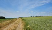 Trail Walking Vallée de l'Ernz - 2023-06-12_15h25m40_Sentier_local_-_M4 - Photo 9