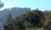 Tocht Stappen Le Cannet-des-Maures - chapeiie st michel le vieux cannet - Photo 12