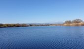 Excursión Senderismo Fréjus - Etang de Villepey - Photo 2