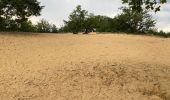 Excursión Senderismo Maaseik - Gruitroderbos -  dunes - Photo 20