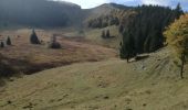 Trail Walking Saint-Cergue - NOIRMONT«»SALA - Photo 3