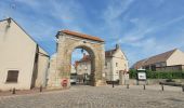 Randonnée Marche Chaumes-en-Brie - Châteaux autour de Chaumes en Brie - Photo 7