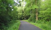 Tocht Stappen Rethondes - en forêt de Laigue_4_08_2019_Mont du Fouilleux_Mont des Singes_Marais de Francière - Photo 5