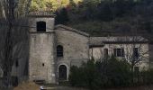 Randonnée Marche Rochefourchat - Grand Delmas depuis Rochefourchat - Photo 5