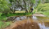 Trail Walking Saint-Merd-les-Oussines - RA2020 MIV Tour Tourbière Loigeroux - Photo 9