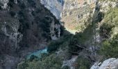 Randonnée Marche La Palud-sur-Verdon - Sentier Blanc Martel - Photo 15