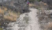 Tocht Stappen Peyriac-de-Mer - peyriac bages peyriac - Photo 1