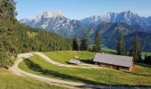 Tour Zu Fuß Admont - Wanderweg 36 - Photo 7