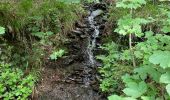 Trail Walking Chiny - Chiny le long de la Semois - Photo 15