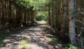Trail Walking Dourbies - La Bascule Le Ginestou La Bascule  - Photo 5