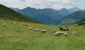 Tocht Stappen Arrens-Marsous - col de soulor, lac de soum, col de bazes, col de soulor  - Photo 12