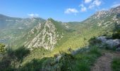 Randonnée Marche Gorbio - Gorbio Ste-Agnès - Cime de Baudon - Photo 8