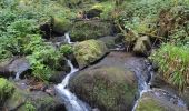 Trail Walking Le Tholy - Le trou de l'enfer - Photo 2