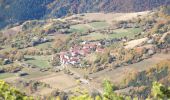 Randonnée Marche Châtillon-en-Diois - Montagne de Beaupuy - Nonnières - Photo 9