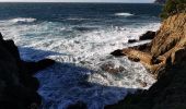 Excursión Senderismo Hyères - Tour de la presqu'île de Giens est - Cap Esterel - Photo 8