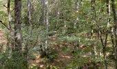 Trail Walking Saint-Agnan-en-Vercors - Rocher du mas (vercors) - Photo 15