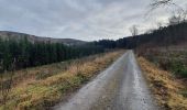 Trail Walking Manhay - deux rys 25/02/2020 - Photo 11