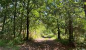 Tour Wandern Pontenx-les-Forges - PONTENX REALISÉ - Photo 9