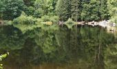 Trail Walking Metzeral - lac de schiessrothried par vallée de la wormsa  - Photo 18