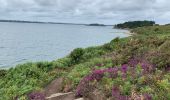 Trail Walking Île-aux-Moines - L’île aux moines  - Photo 2