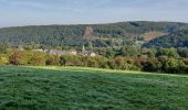 Tour Wandern Nassogne - Nassogne 070921 - Photo 8