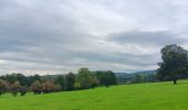 Trail Walking Aywaille - dieupart . embleve . thier bosset . kin . henoumont . vieux jardin . dieupart  - Photo 6