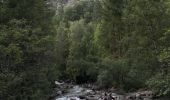 Tour Wandern Vallouise-Pelvoux - Cascade de la Pisse et pont des places - Photo 20