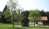 Tour Zu Fuß Mauth - Schnecke (Rundweg Finsterau) - Photo 1