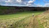 Trail Walking Lontzen - Lontzen - Photo 2