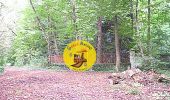 Trail Walking Dampmart - SM_DAMPMART-OUEST_8.4Km - Photo 1