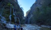 Tour Wandern Sainte-Eulalie-en-Royans - Cascade blanche et Cascade verte - Photo 2