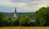 Tour Zu Fuß Viroinval - Le Mousti - Photo 7