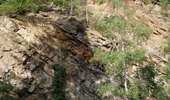 Percorso A piedi Eupen - Rund um den See - Photo 1