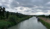 Randonnée Marche Colombiers - Colombier Canal bord de l'étang de Montady - Photo 5