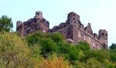 Tour Zu Fuß Sankt Goarshausen - Rheinsteig-Zuweg Nochem - Photo 7