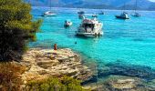 Tocht Stappen Saint-Florent - De la plage de l'Ospédale  à la plage de Lotu Saint Florent Haute Corse - Photo 16