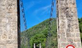Trail Walking Le Truel - Le Truel -Tarn (Aveyron - France) - Photo 11