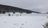 Percorso Racchette da neve Les Rousses - lac gèle des Rousses - Photo 5