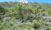 Randonnée Marche Bouvante - col du carri - Photo 10