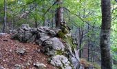 Percorso A piedi Mandello del Lario - Mandello - Bocchetta di Prada - Photo 10