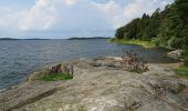 Tocht Te voet Unknown - Upplands-Broleden - Photo 1